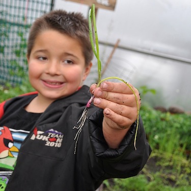 Jeremy Tasse, seven, holds out some green onion freshly-plucked from his family’s garden plot at Kuujjuaq’s greenhouse. (PHOTO BY SARAH ROGERS)