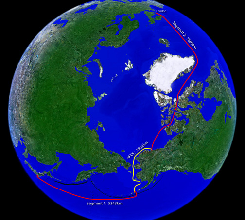  A graphic shows the route of a proposed trans-Arctic cable that would run more than 15,000 kilometres between Tokyo and London. Kodiak Kenai Cable Company says the link would cut data transmission times from Europe to Asia by almost half. (IMAGE COURTESY OF KODIAK KENAI CABLE CO.)