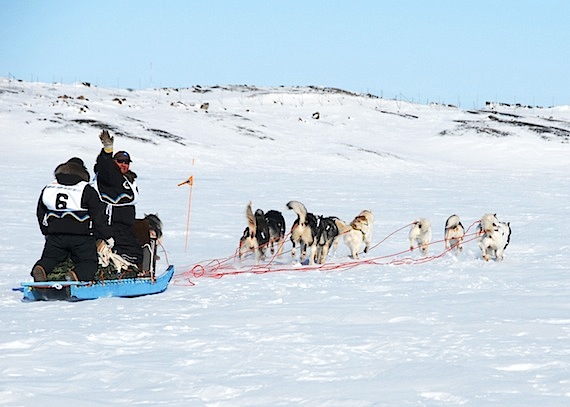 Allen Gordon of Kuujjuaq, one of 15 mushers in this year's Ivakkak dog team race in Nunavik, waves goodbye after as he leaves Puvirnituq on March 28. (PHOTO BY ISABELLE DUBOIS/NUNAVIK TOURISM)