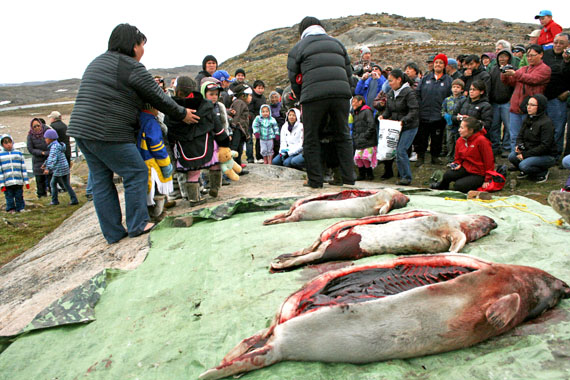 The June 2012 Celebration of the Seal event in Iqaluit. Organizers will hold the event June 21 at Sylvia Grinnell Park, between 6:00 p.m. and 9:00 p.m. (FILE PHOTO)