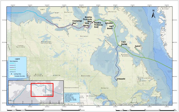 This map shows the main backbone routes that Arctic Fibre Inc.'s proposed London-Tokyo marine fiber optic cable would take through Nunavut and Nunavik offshore regions. Between Aug. 19 and Aug. 24, a seven-person team from Arctic Fibre will tour the Nunavut communities located near the cable's main backbone line: Iqaluit, Cape Dorset, Hall Beach, Igloolik, Cambridge Bay, Gjoa Haven and Taloyoak. The team will meet with local leaders and study potential landing sites for cable spurs that would connect each community. After that, the team will visit Deception Bay in Nunavik to assess the viability of a backbone spur that would connect mining companies in the area.