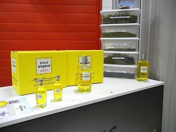 What's made in Quebec, yellow in colour and based on six Nunavik plants? It's Ungava gin, a spirit made in southern Quebec by Domaine Pinnacle, which produces and distributes the award-winning gin throughout the world. Read more about the gin on Nunatsiaqonline.ca. (PHOTO BY JANE GEORGE)