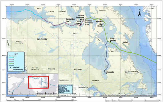 This map shows the routes that Arctic Fibre’s marine cable backbone would take through the waters of the Canadian Arctic, establishing connections that would link Tokyo, New York City and London to their fibre optic system. 