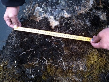 This photo that Maggie Cruikshank posted on Facebook last year shows what she believed to be the footprint of the creature she saw near Akulivik. (FILE PHOTO)