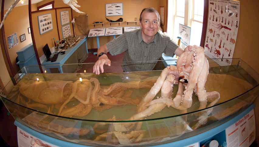 Jonathan Joy, instructor in the environmental technology program at Nunavut Arctic College in Iqaluit, with a pair of giant squid (Architeuthis dux) specimens in Newfoundland. (PHOTO COURTESY OF JONATHAN JOY)