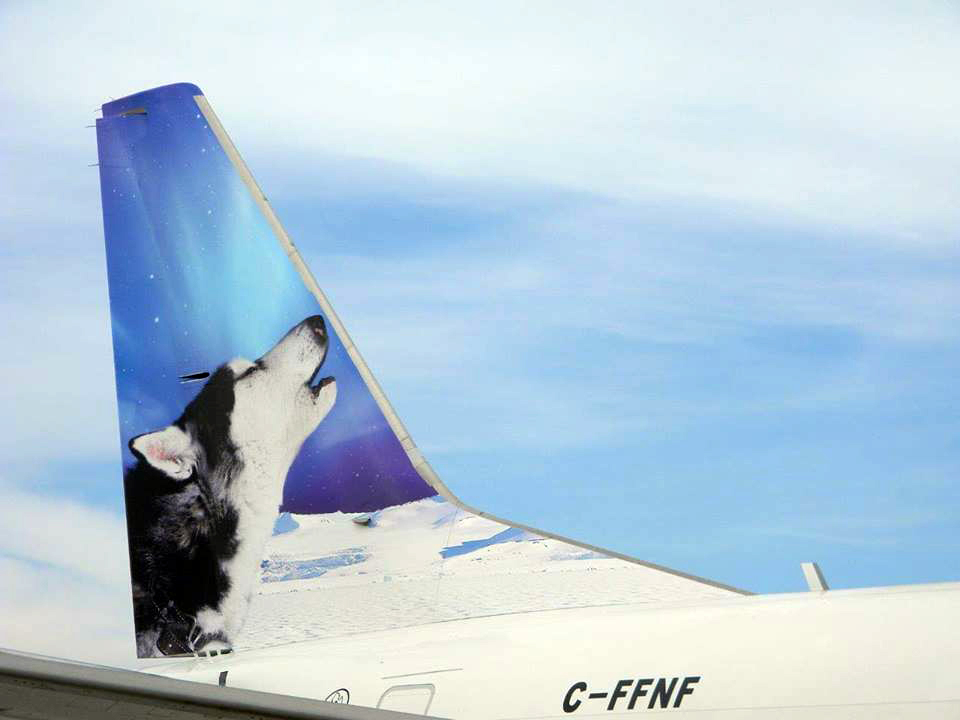 First Air unveiled the image on the tail of its second Boeing 737-400 aircraft, which is meant to start flying the airline's Montreal-Kuujjuaq route in mid-December. The image on the tail, of a howling sled dog, was snapped by Kuujjuaq photographer Isabelle Dubois, who has had a hand in organizing Nunavik's Ivakkak dog sled race for the past 10 years. (PHOTO COURTESY OF FIRST AIR) 
