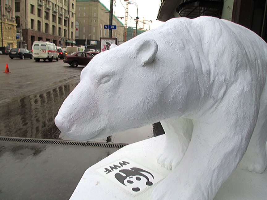 Inuit from across Canada are in Moscow to take part in an International Forum on Conservation of Polar Bears, organized by WWF Russia on behalf of Russia’s Ministry of Natural Resources and Environment. (PHOTO BY SUE NOVOTNY/WWF)
