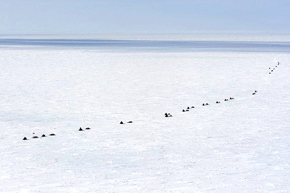 This aerial photograph shows a long line of snowmobiles, driven by members of C Company, 1st Battalion of the Royal 22nd Regiment and 1 Canadian Ranger Patrol Group, on their way back to Resolute Bay April 26 as part of Operation Nunalivut 2014. (PHOTO BY CHELSEY HUTSON/CANADIAN FORCES) 