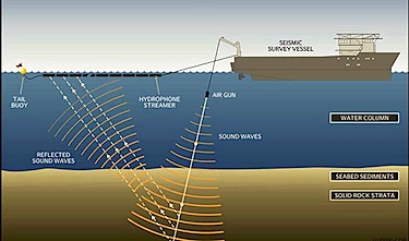 This image from the project description for the NorthEastern Canada 2D Seismic Survey shows how devices mounted on and dragged behind a vessel would send sound waves down through the waters of Baffin Bay. (FILE IMAGE) 