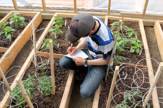 Greenhouse assistant and student Joe Curley records soil moisture as part of the plant growth monitoring plan at Arviat's new greenhouse. (PHOTO COURTESY OF SHIRIN NUESSLEIN) 