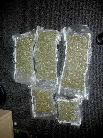 Police found these drugs inside a stuffed panda bear, Dec. 9, 2010 at the Iqaluit airport. (RCMP HANDOUT PHOTO)