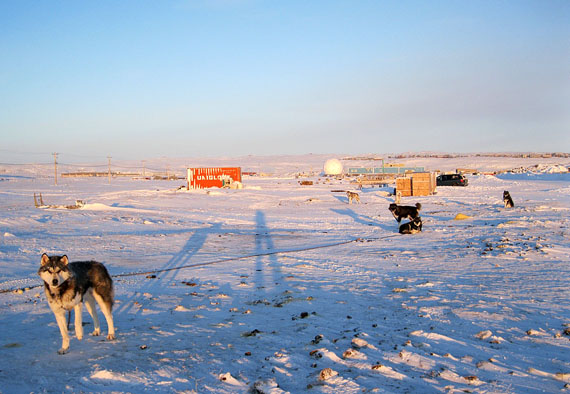 The Government of Nunavut plans to install an asphalt plant on this plot of land in the West 40 area of the city along Hubbard Drive, which is occupied by dog teams in the winter. (PHOTO BY PETER VARGA)