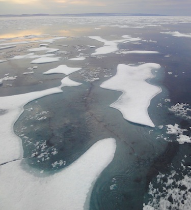 The NDP's environment critic wants an emergency debate in the House of Commons on the impact of Arctic sea ice decline. (PHOTO BY JANE GEORGE)