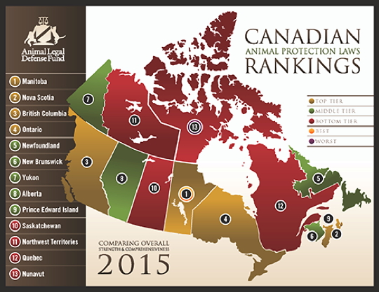 Here’s how the Animal Legal Defense Fund’s ranked Canada's provinces and territories this year. (PHOTO COURTESY OF THE ANIMAL LEGAL DEFENSE FUND)