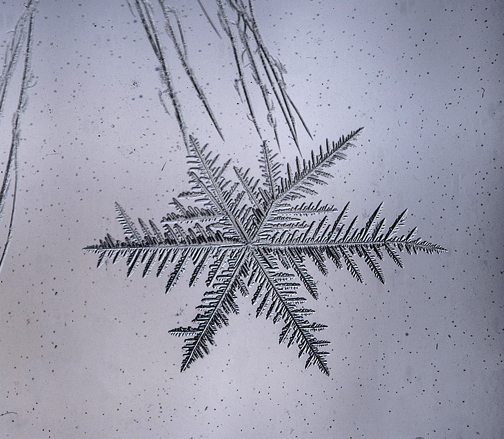 A photograph of a snowflake currently for sale on the Nunavut Images charity website. (PHOTO BY MARK ASPLAND)