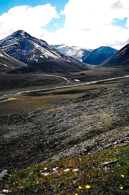 A hidden valley in northern Ellesmere Island: monitoring changes in Arctic locations like this one, over time, is the goal of the Arctic Observing Summit. (PHOTO BY JANGE GEORGE)