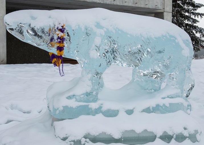 An icy University of Alaska Fairbanks bear sports a spring break lei during this past week's Arctic Science Summit Week that took place on its campus. (PHOTO COURTESY OF THE ARCTIC COUNCIL)