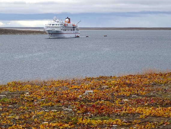 Hapag-Lloyd Cruises' ship, the Bremen, at anchor outside Cambridge Bay Aug. 31. The cruise season in western Nunavut winds up Sept. 10, when the final cruise ship is due into Cambridge Bay.  (PHOTO BY JANE GEORGE)
