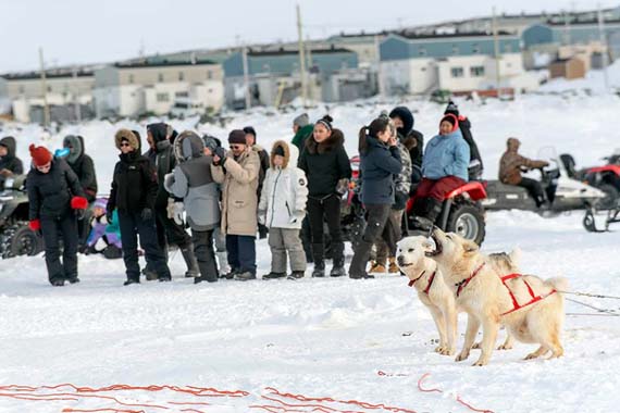 Let’s go already! A lead dog howls in anticipation at the starting line of Ivakkak 2017, which departed from Umiujaq March 28. The race’s 13 participating teams made it to their first checkpoint 53 kilometres up the Hudson coast, while teams are expected to complete another 80 kilometres March 29. (PHOTO BY P. DUNNIGAN/MAKIVIK)