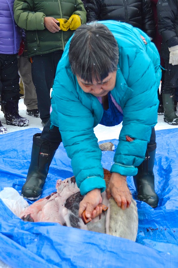 A participant in the Toonik Tyme seal skinning competition shows how its done, April 22. (PHOTO BY STEVE DUCHARME)