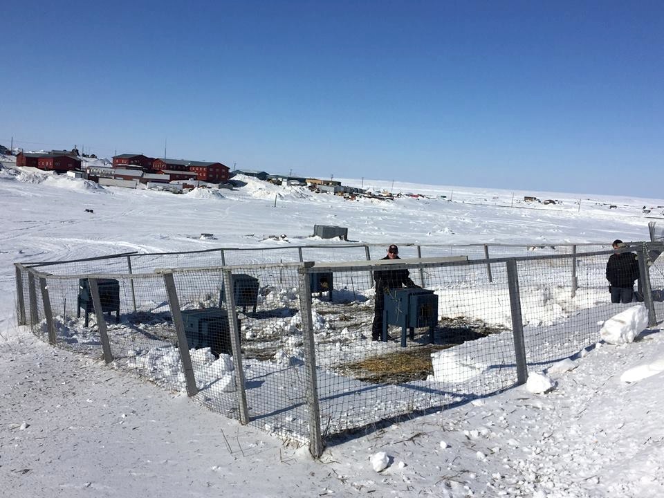 Here's a look at Rankin Inlet's new dog pound, open since last month in the Kivalliq hub of roughly 3,000. (PHOTO COURTESY OF M. WYATT)