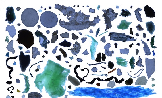 This collage of Arctic Ocean plastic, assembled by Andres Cozar, the lead author of a 2017 study 