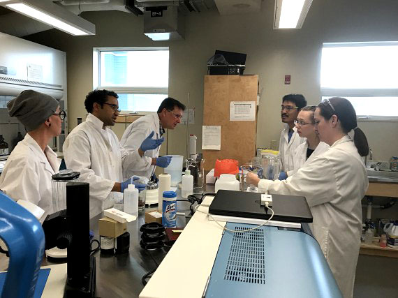 A team of analysts from the Nunavut Research Institute, Nunavut Tunngavik Inc. and the GN Department of Health at a training session in trichinella detection, held in June 2017, led by experts from the Canadian Food Inspection Agency's centre for food-borne and animal parasitology. (FILE PHOTO)