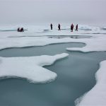 Arctic melt ponds
