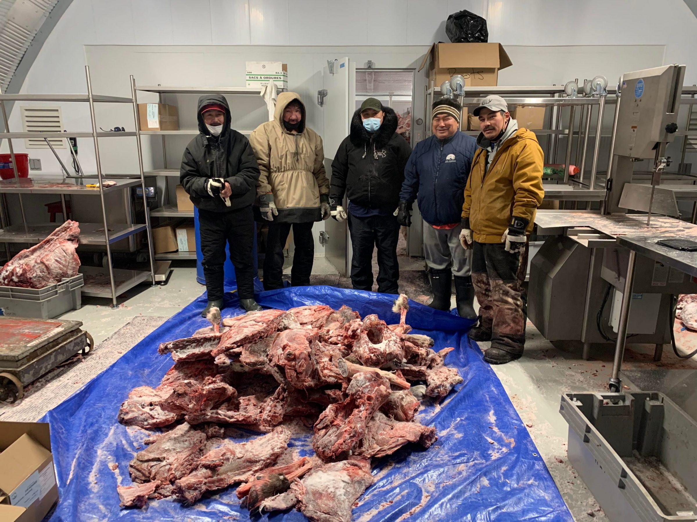 Kuujjuaq hunters prepare to distribute fresh caribou meat to their community on Tuesday. Their work is supported by Nunavik’s Hunter Support Program. From left: Henry Saunders, Moses Tooma, Benji Snowball, Silas Snowball and Adamie Kauki. (Photo by Malaya Qaunirq Chapman)
